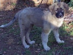 jara_20211129_1332701612
